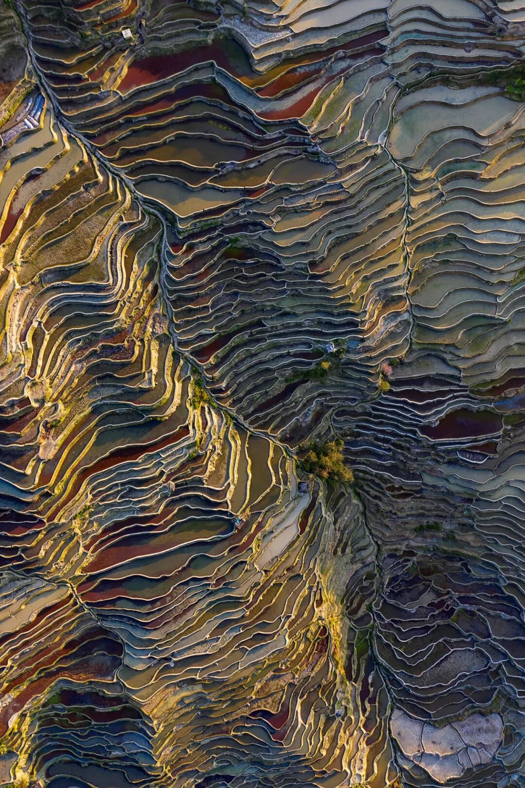 Image related to What is Yunnan?