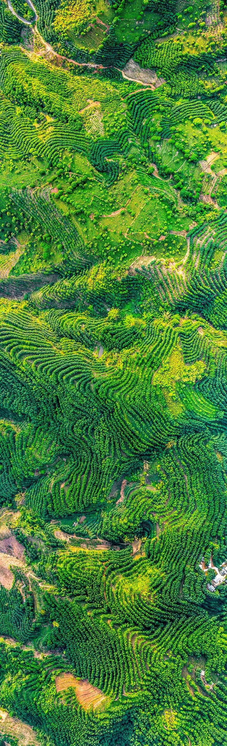 Image related to What is Yunnan?
