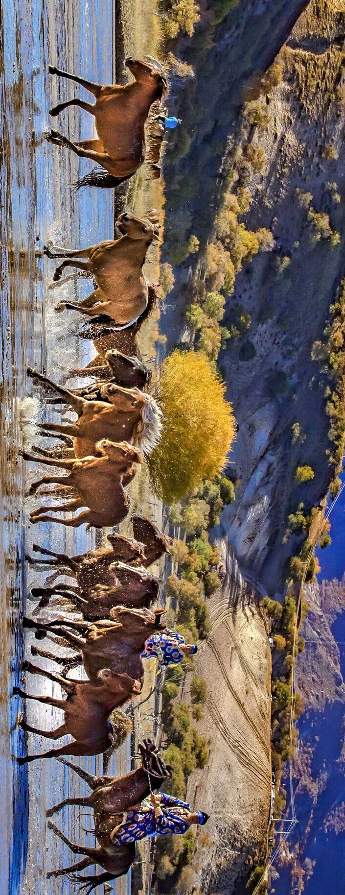 Image related to Who is the Top of China's Grasslands?