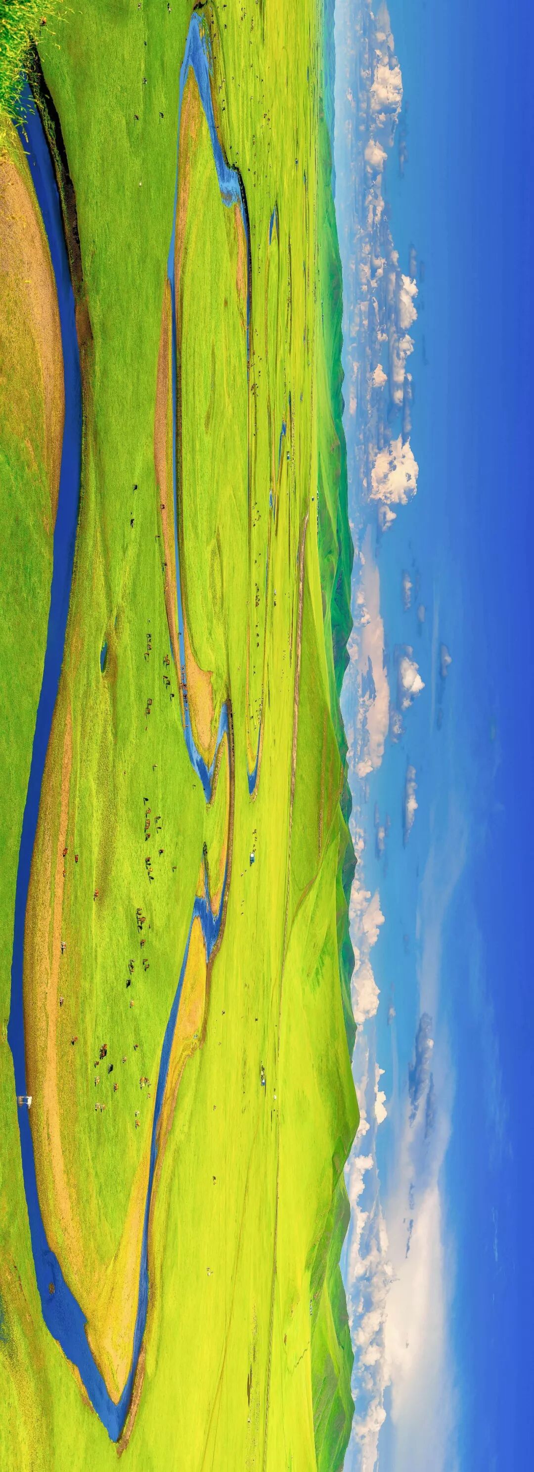 Image related to Who is the Top of China's Grasslands?