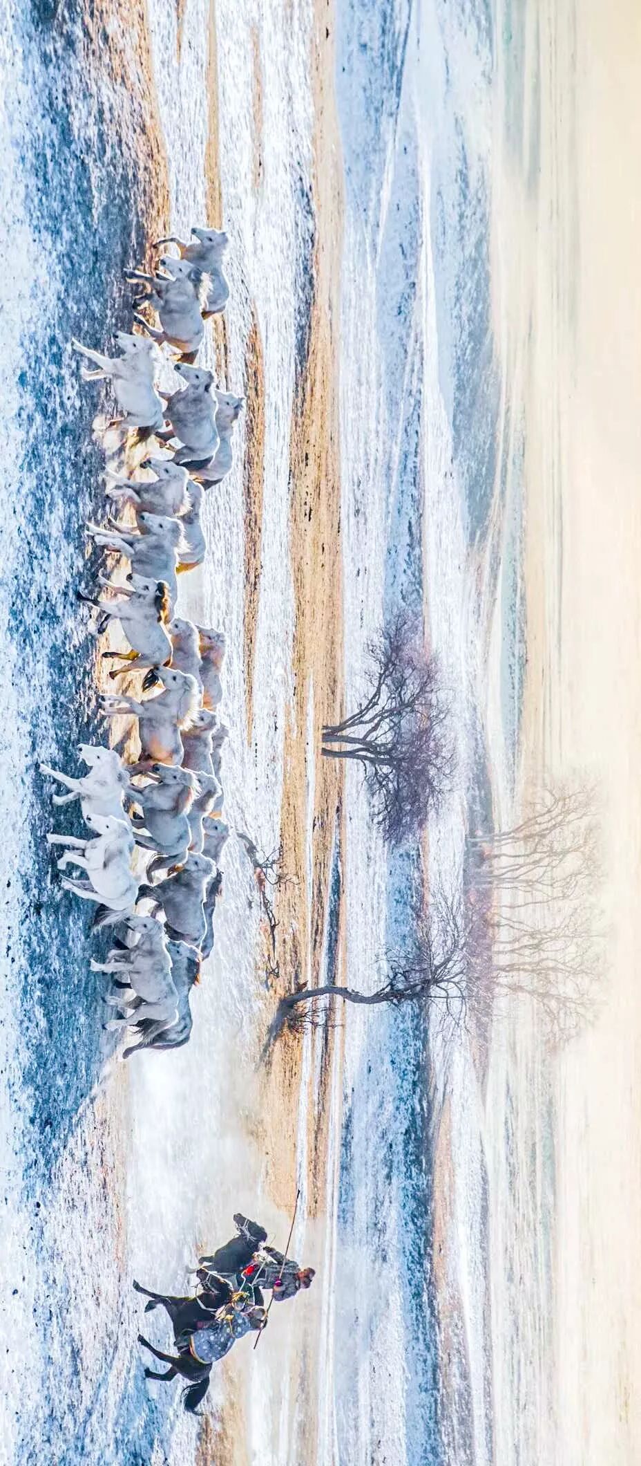 Image related to Who is the Top of China's Grasslands?