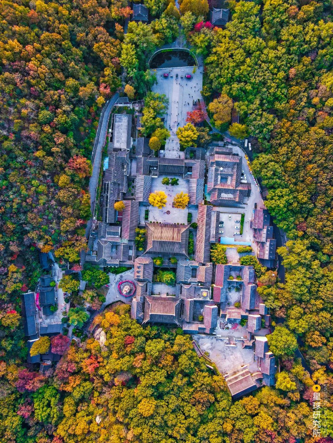 Image related to I Am Nanjing, I Am Jinling