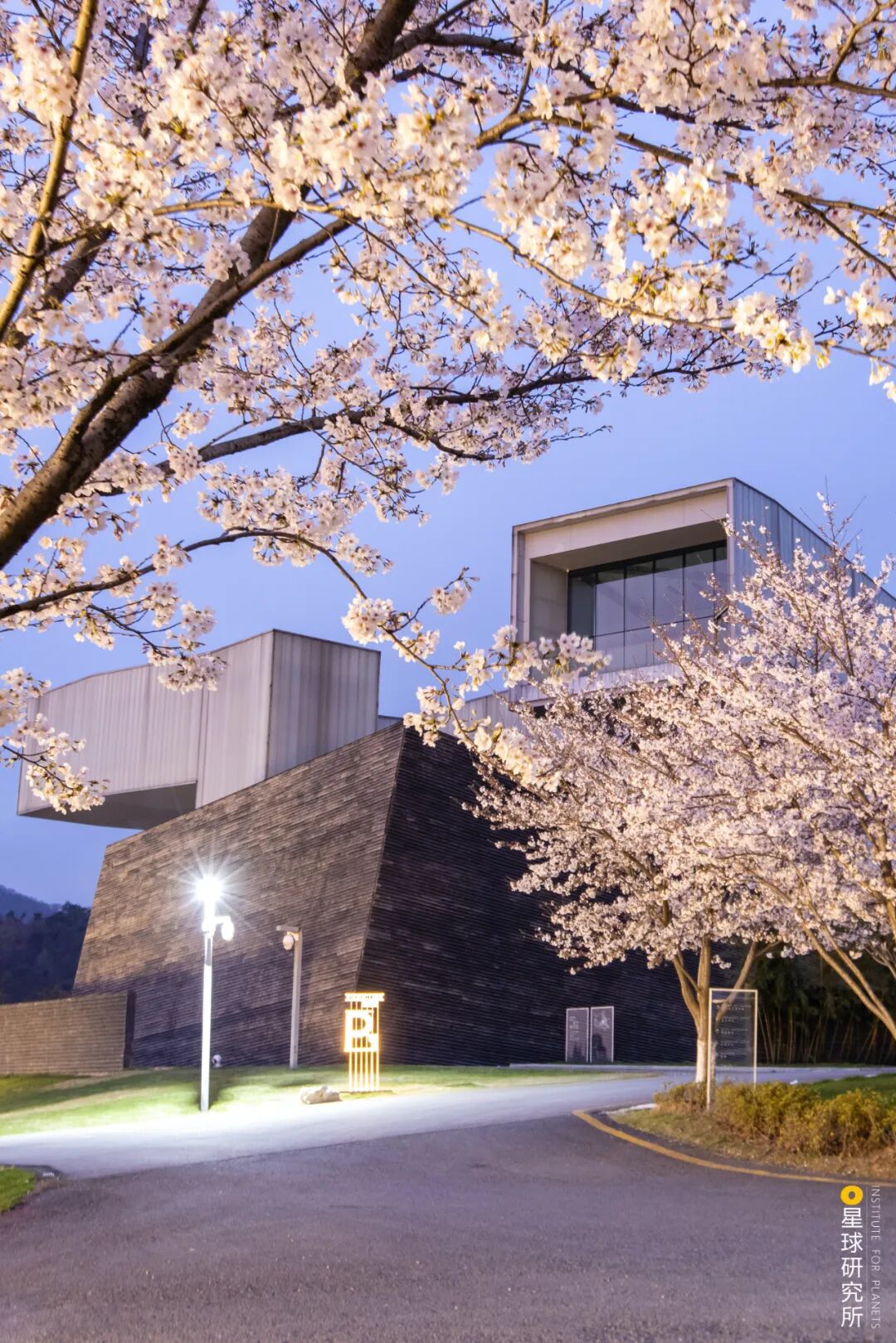 Image related to I Am Nanjing, I Am Jinling