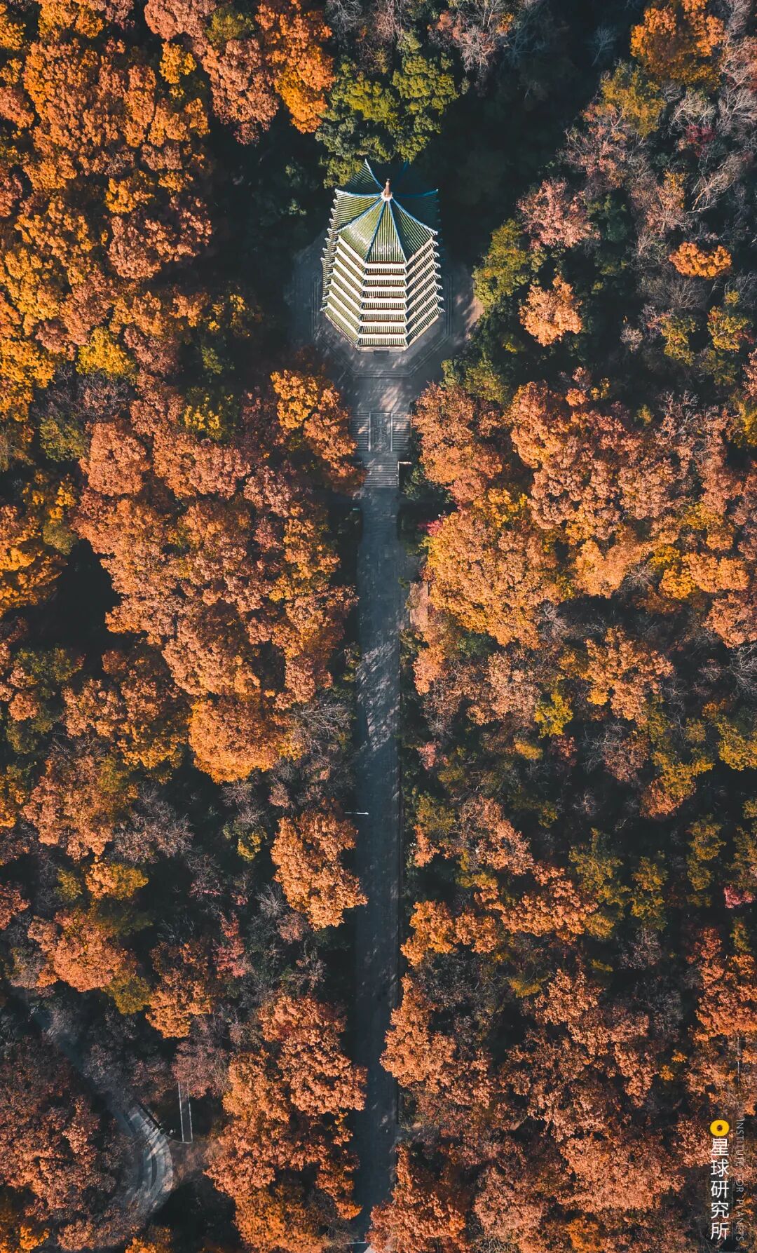 Image related to I Am Nanjing, I Am Jinling