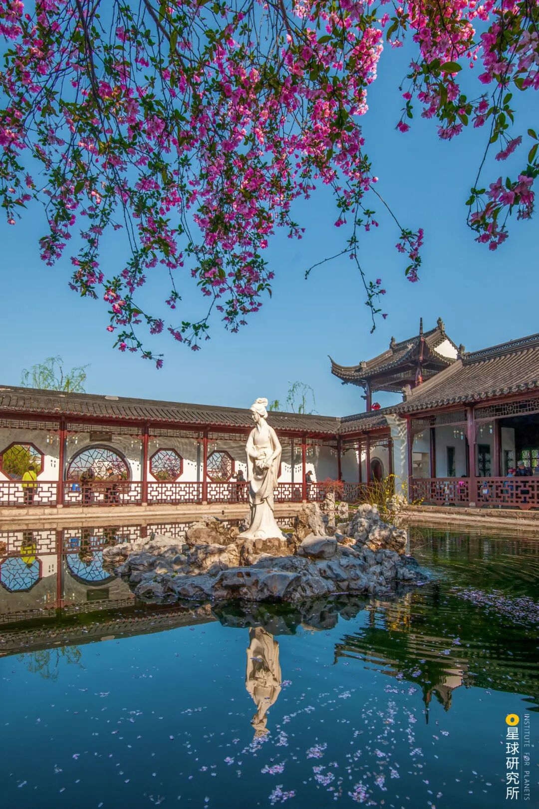 Image related to I Am Nanjing, I Am Jinling