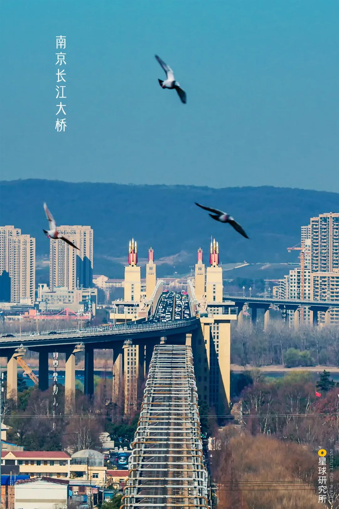 Image related to I Am Nanjing, I Am Jinling