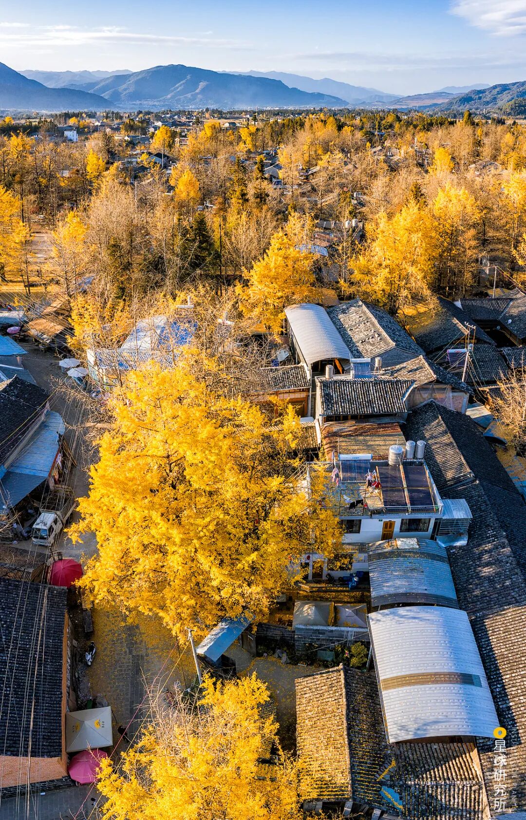 Image related to What Makes Tengchong, Yunnan So Unique?