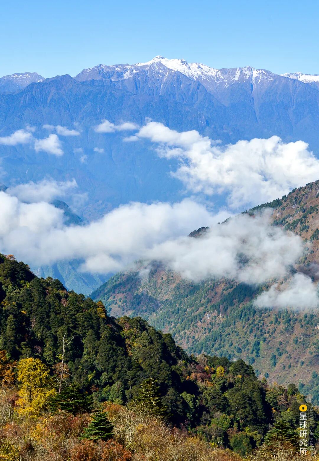 Image related to What Makes Tengchong, Yunnan So Unique?
