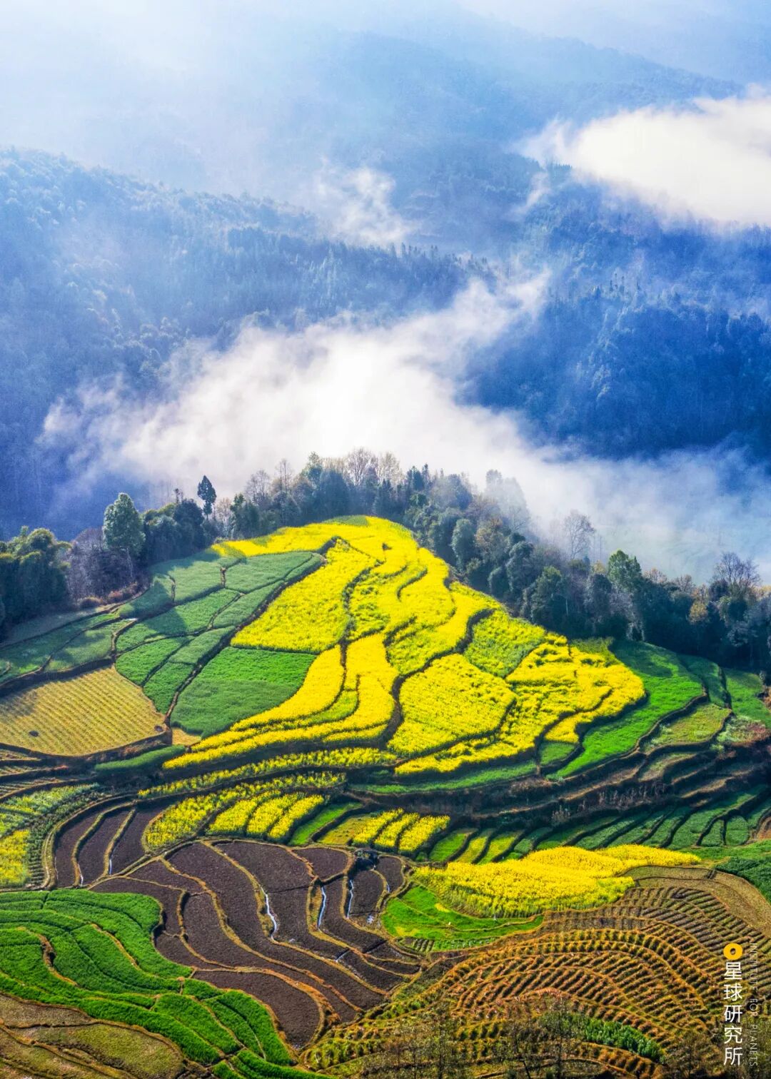 Image related to What Makes Tengchong, Yunnan So Unique?