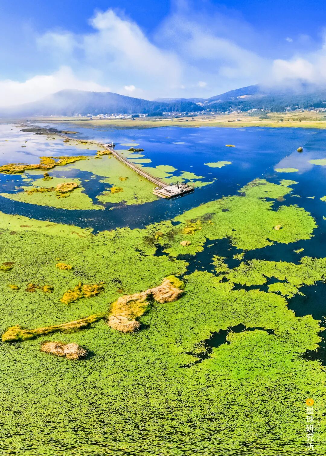 Image related to What Makes Tengchong, Yunnan So Unique?