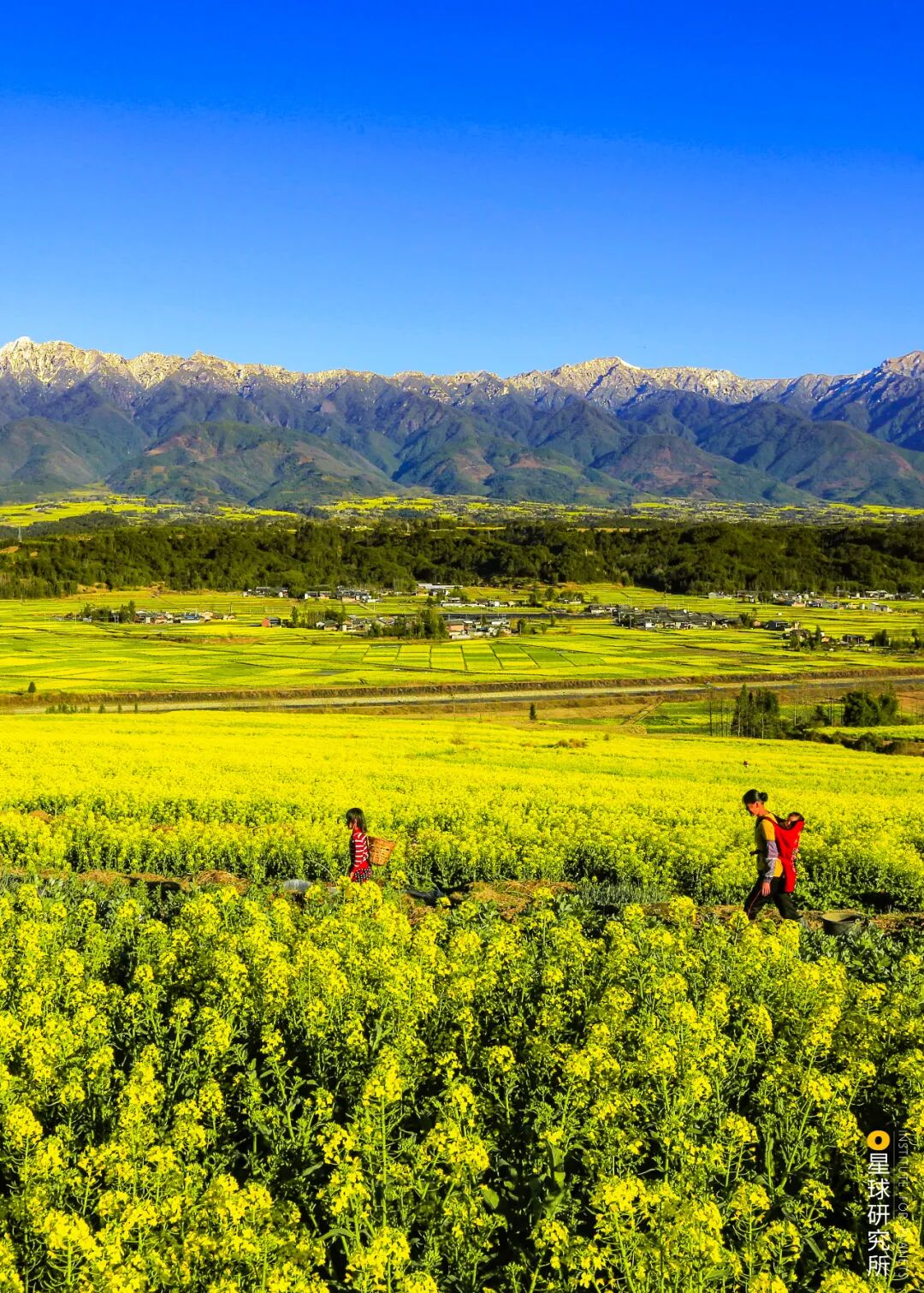 Image related to What Makes Tengchong, Yunnan So Unique?