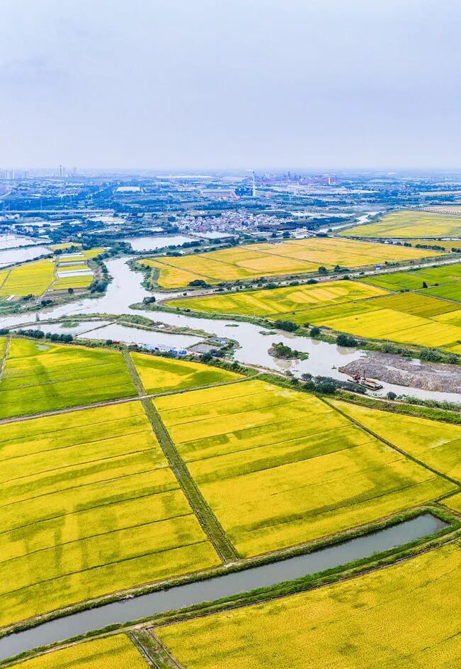 Image related to Why Liyang, Jiangsu Is Worth a Visit