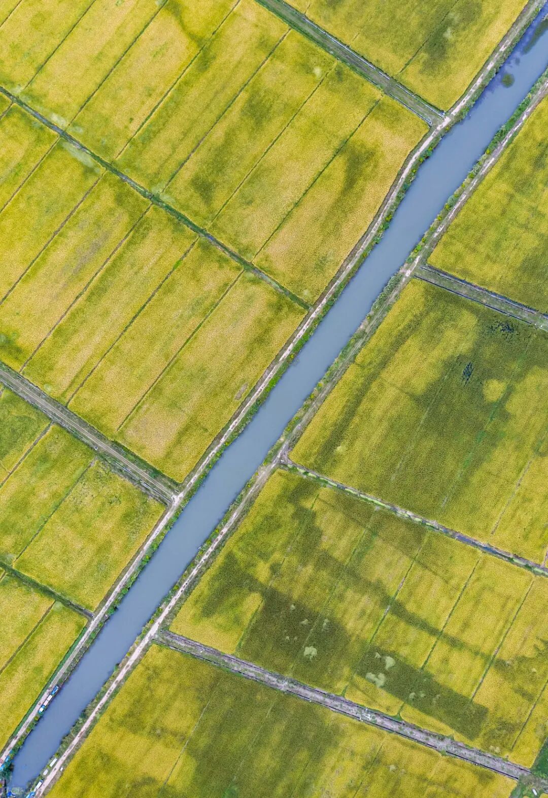 Image related to Why Liyang, Jiangsu Is Worth a Visit