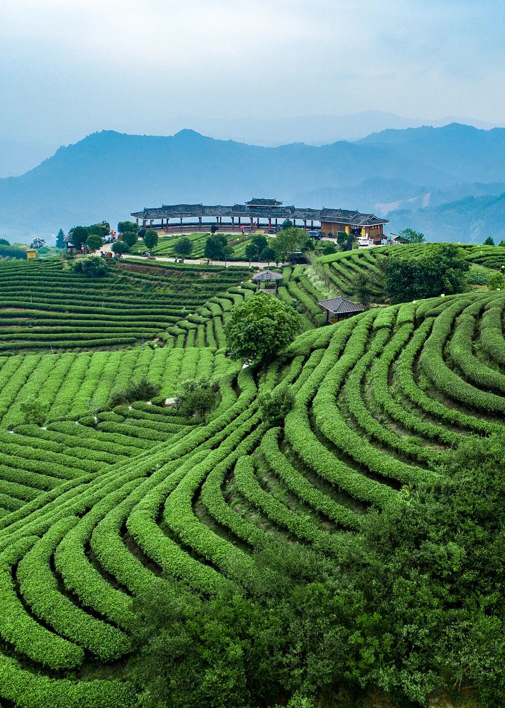 Image related to Liuzhou, Guangxi: More Than Just Luosifen