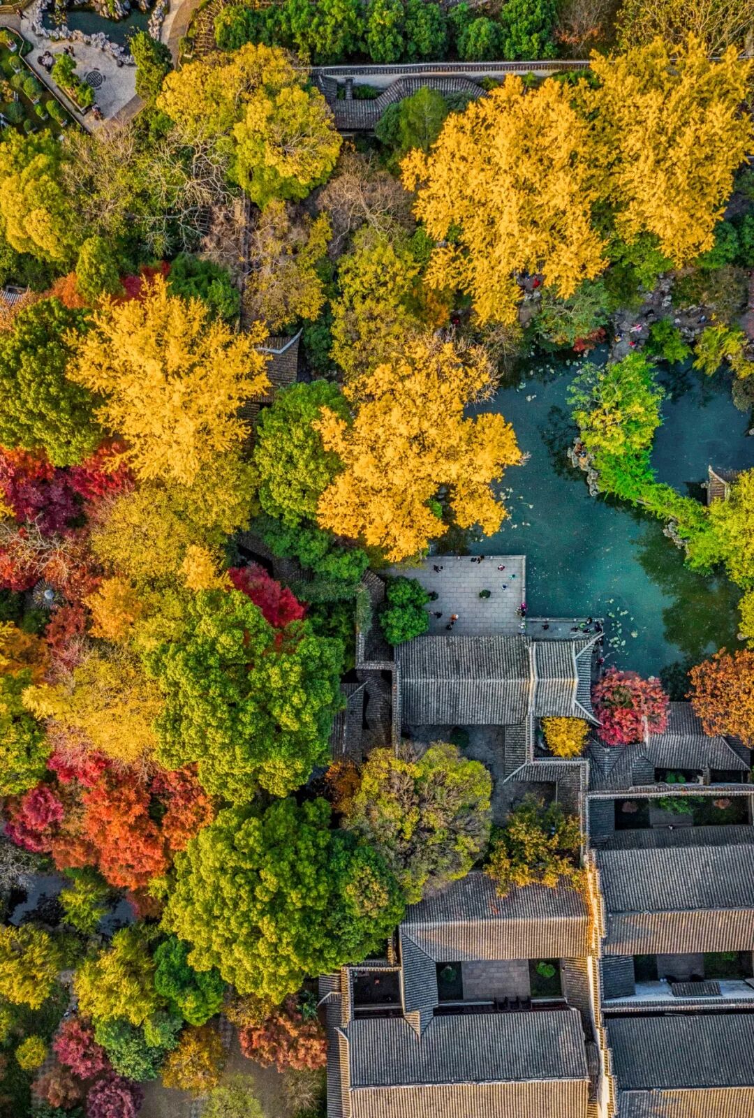 Image related to What Kind of City Is Suzhou?
