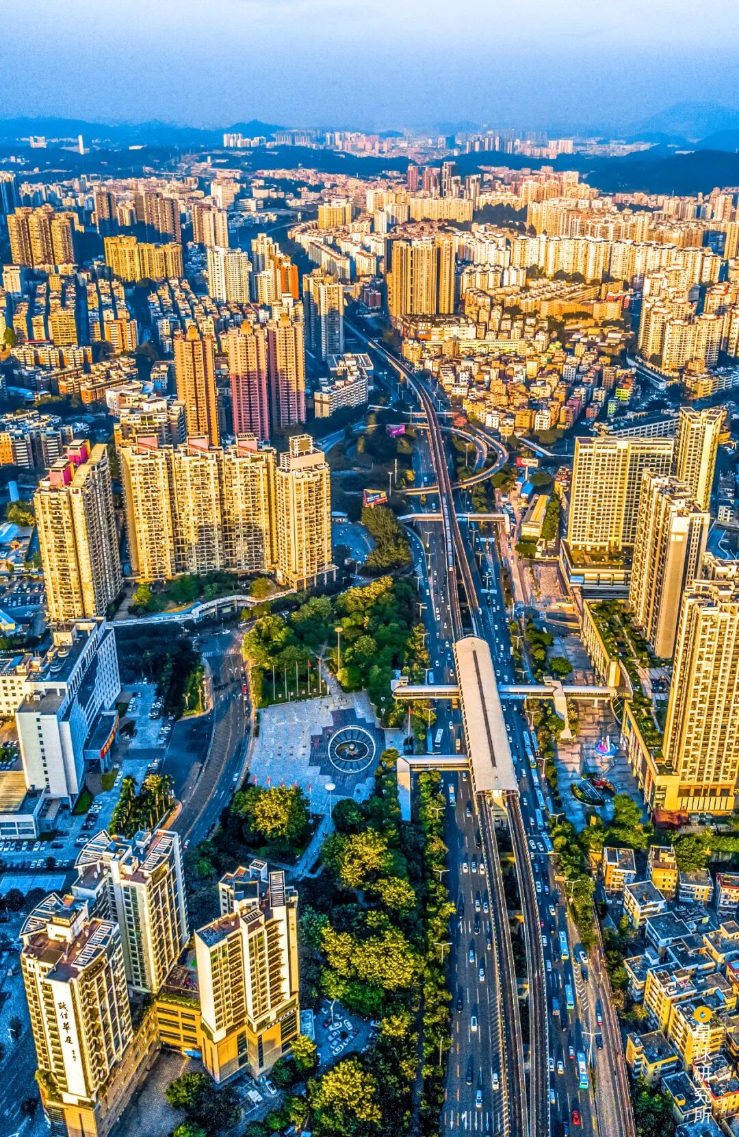 Image related to Who Is the Heart of Eastern Shenzhen?