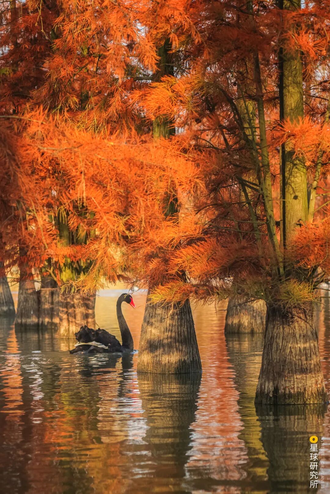 Image related to China's Autumn Waters Map Is Here!