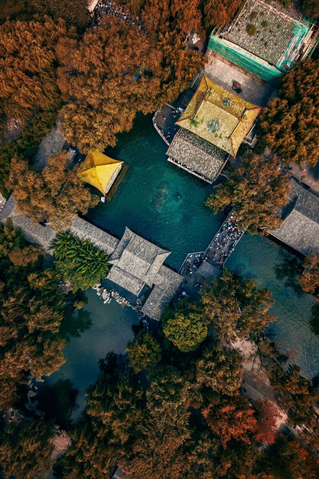 Image related to Not Just China's BBQ Capital: Also the Northernmost Tea-Producing Province!