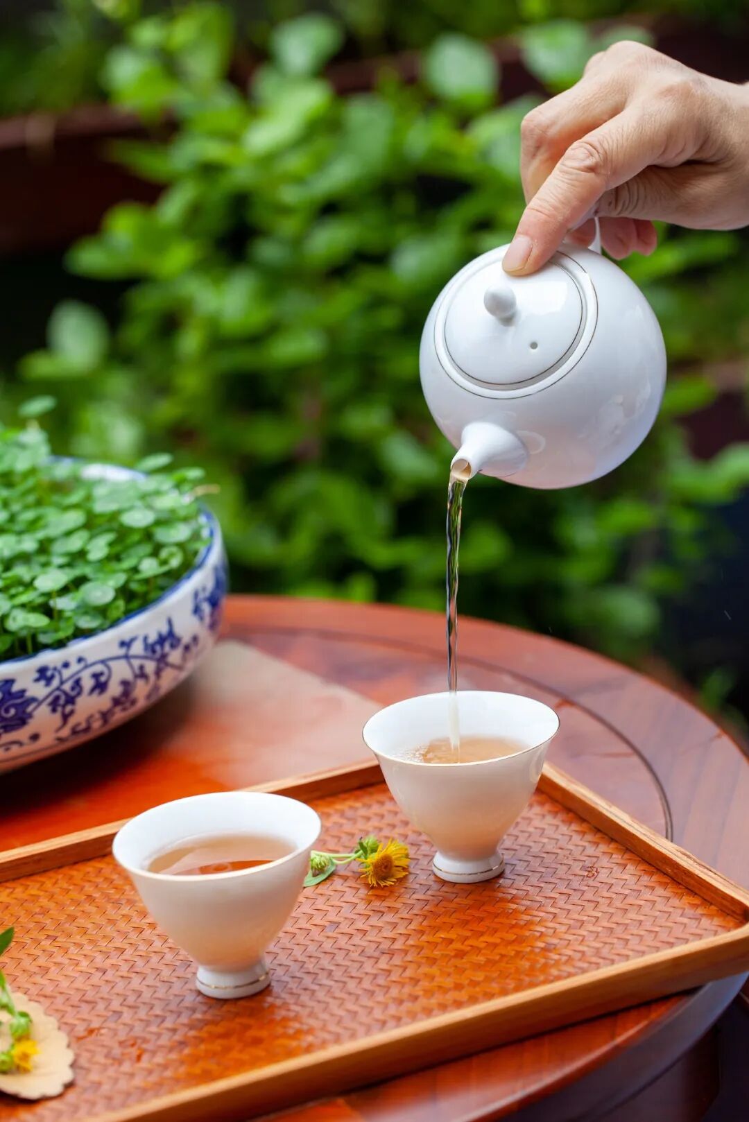 Image related to Not Just China's BBQ Capital: Also the Northernmost Tea-Producing Province!