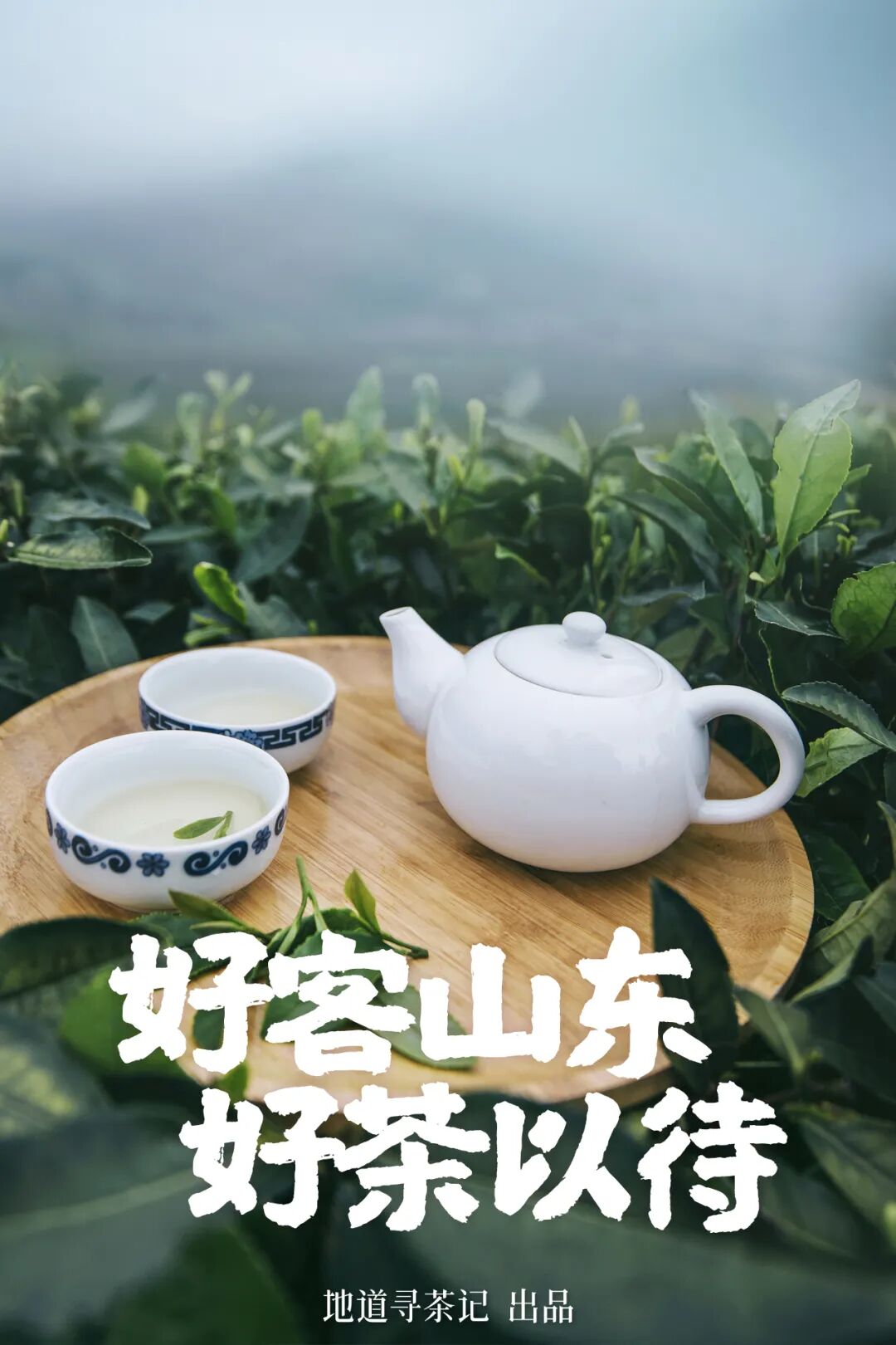 Not Just China's BBQ Capital: Also the Northernmost Tea-Producing Province!