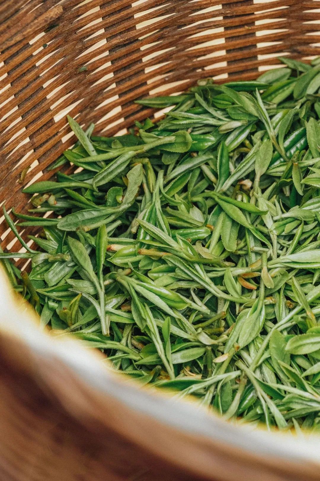 Image related to Why Does a Culinary Desert Offer China's Most Exquisite Freshness?