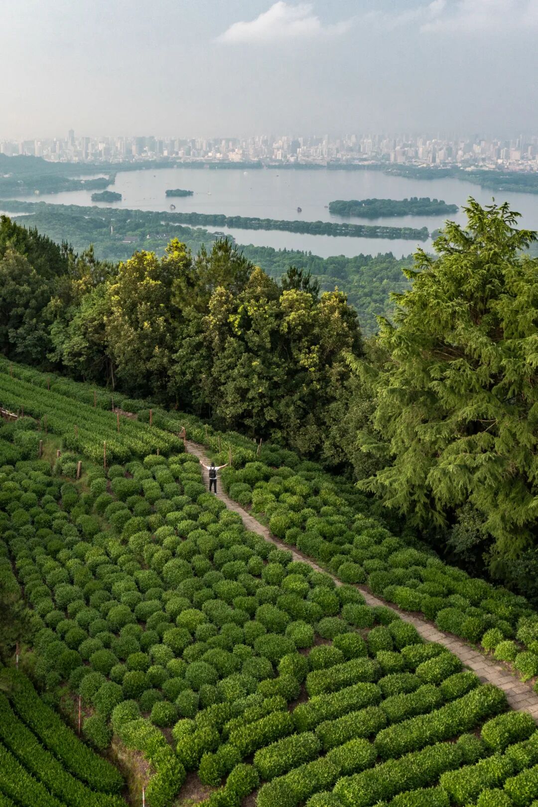 Image related to Why Does a Culinary Desert Offer China's Most Exquisite Freshness?
