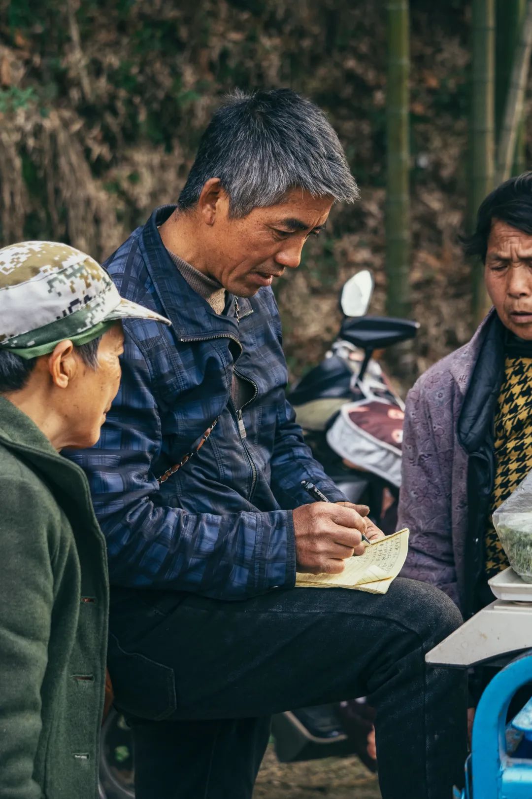 Image related to At China's Top Mountain, Savor the Pungent Fish and Sip the Divine Tea