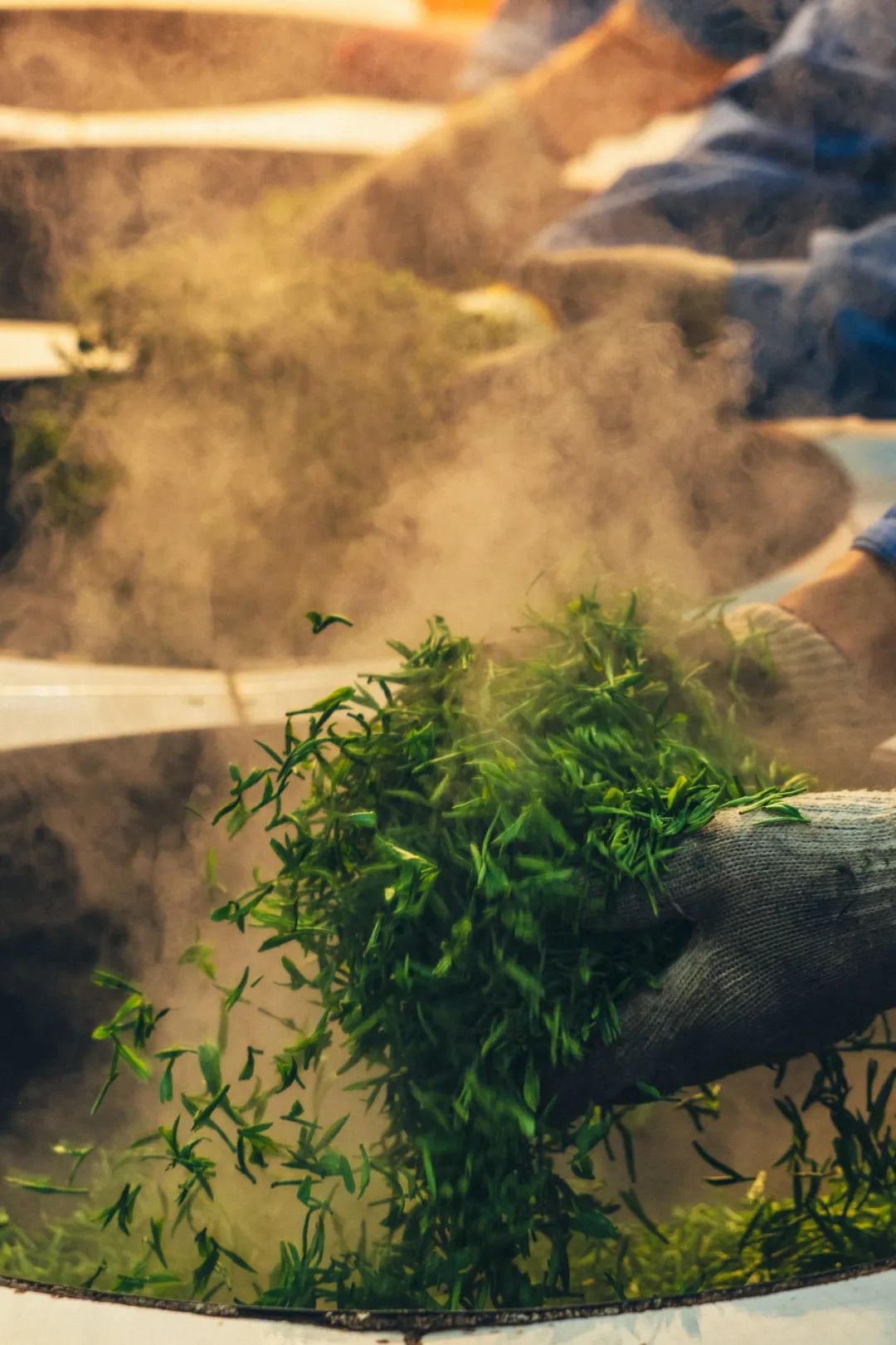 Image related to Where in China Grows the Most Fragrant Spring Tea? (Comment to Win Free Tea)