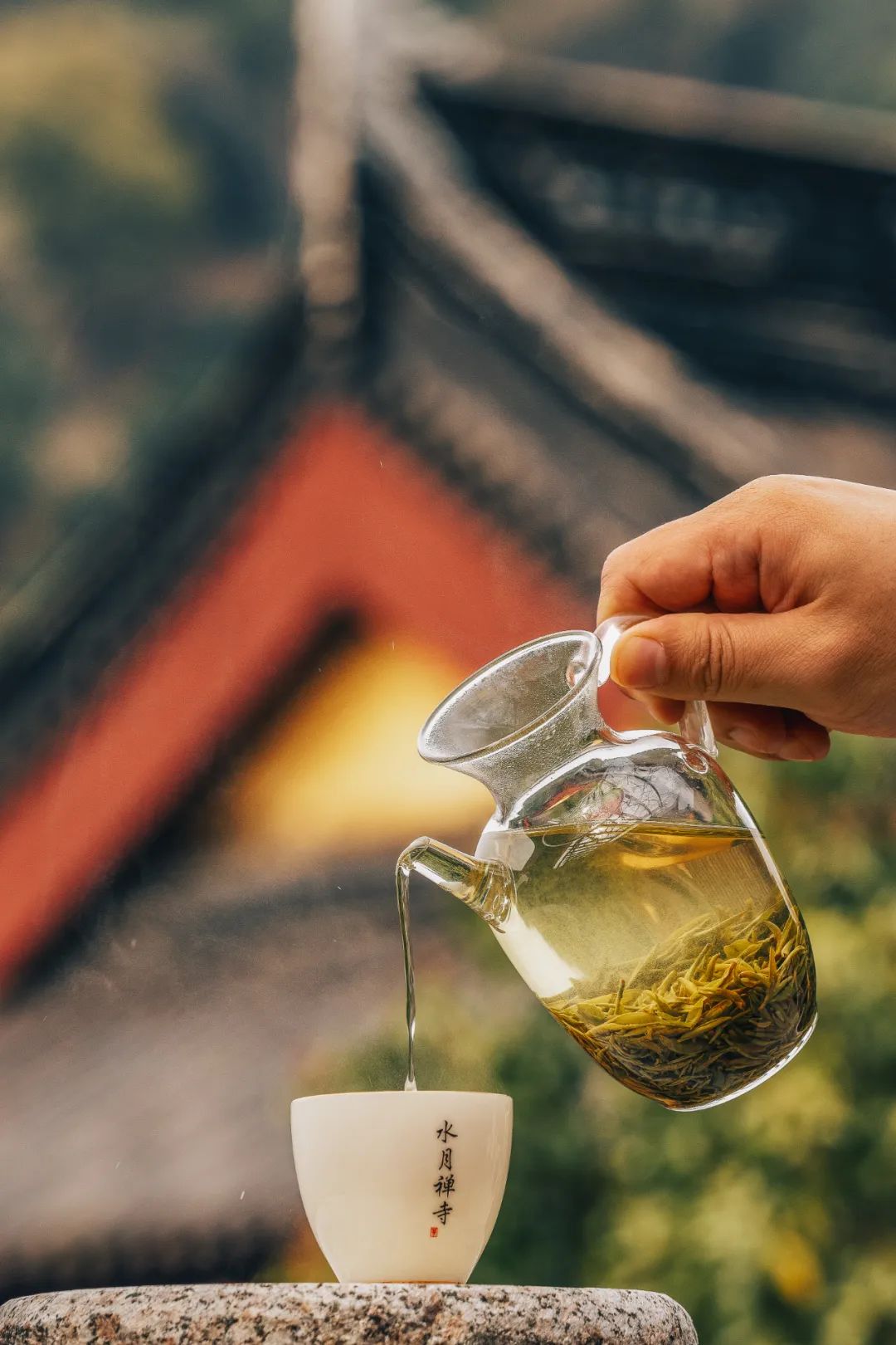Image related to Where in China Grows the Most Fragrant Spring Tea? (Comment to Win Free Tea)