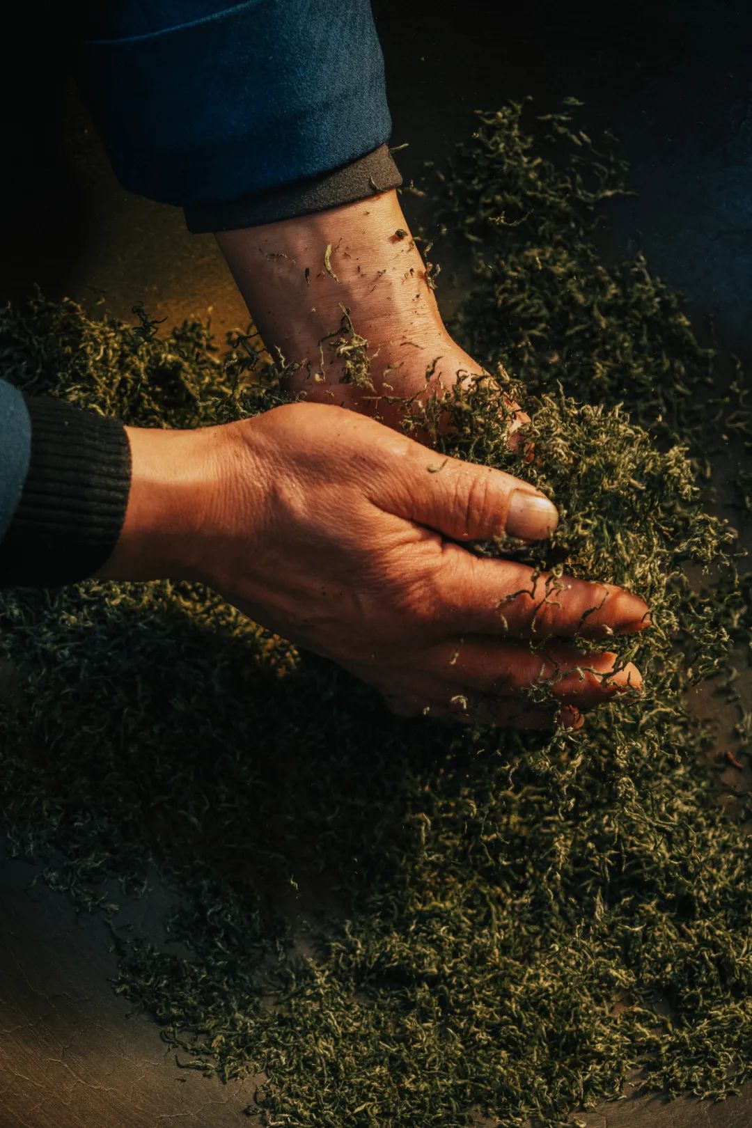 Image related to Where in China Grows the Most Fragrant Spring Tea? (Comment to Win Free Tea)