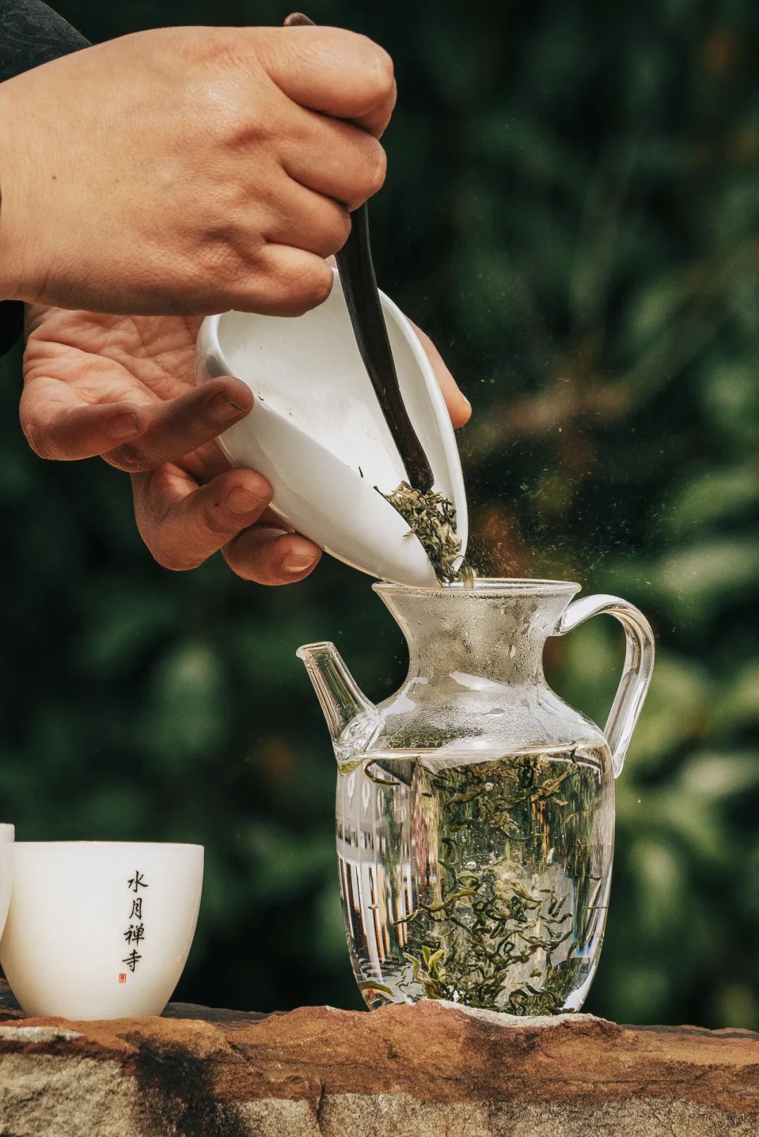Image related to Where in China Grows the Most Fragrant Spring Tea? (Comment to Win Free Tea)
