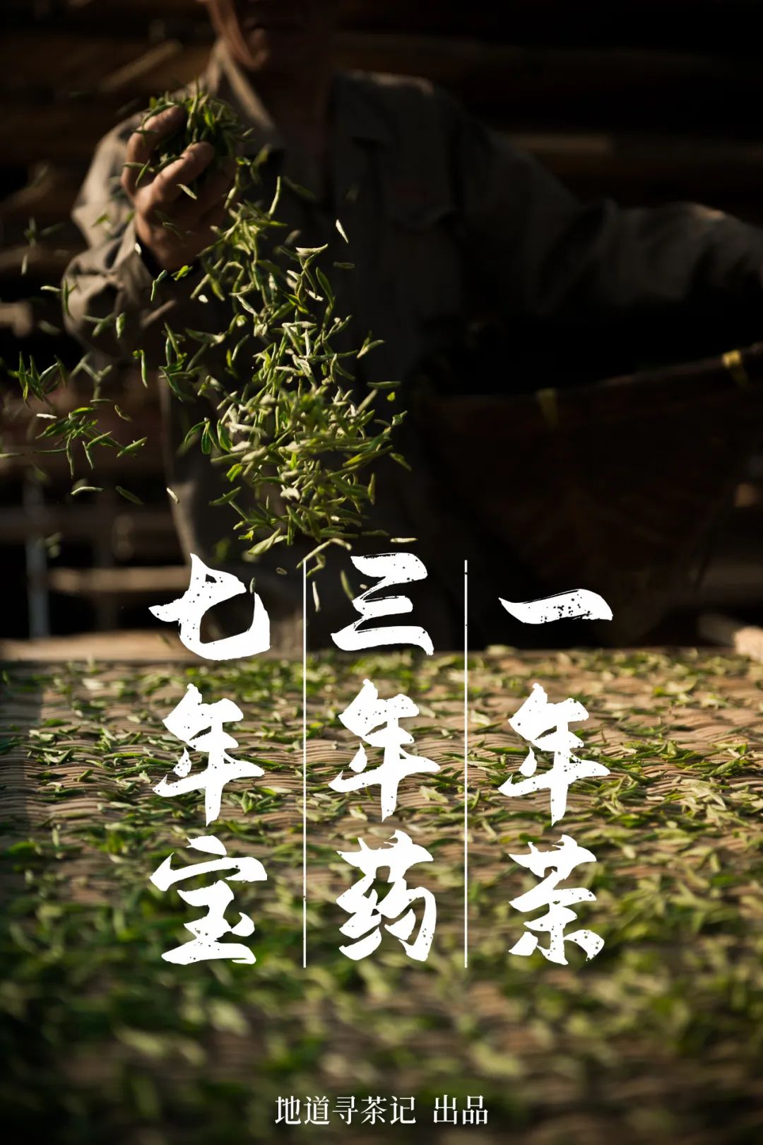 Atlas of Chinese White Tea
