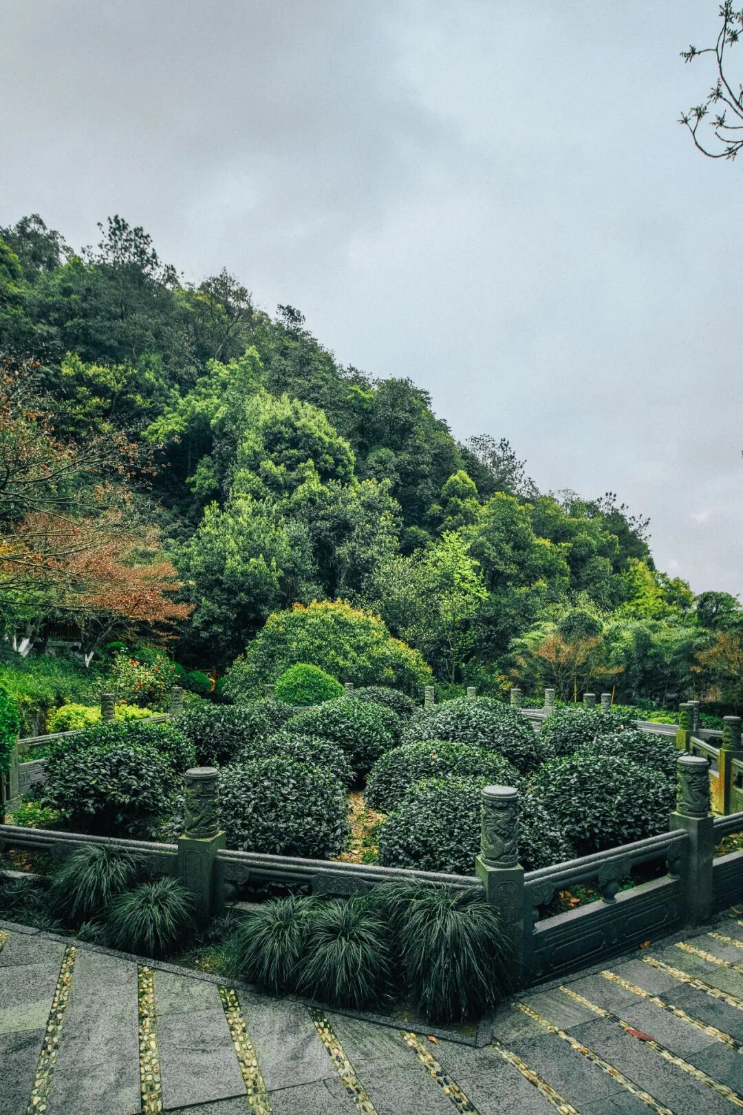 Image related to Why Does a Culinary Desert Offer China's Most Exquisite Freshness?
