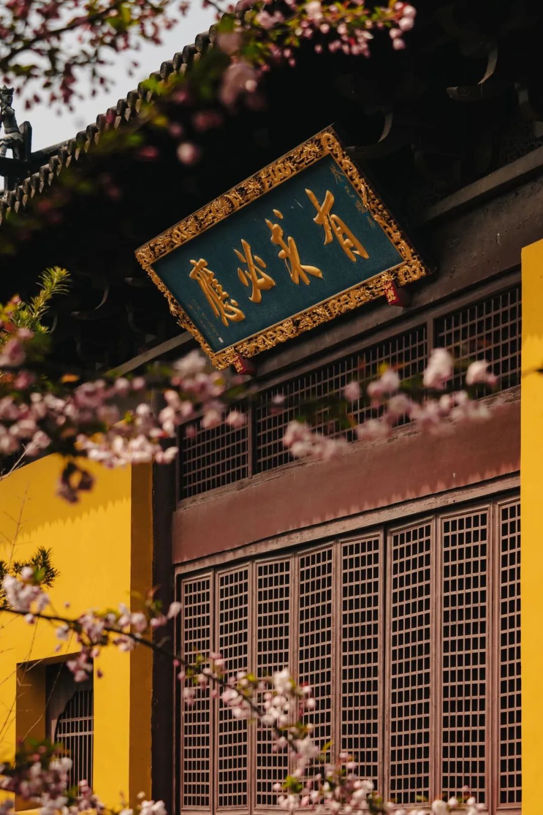 Image related to Which Temple in China Serves the Best Zen Tea?