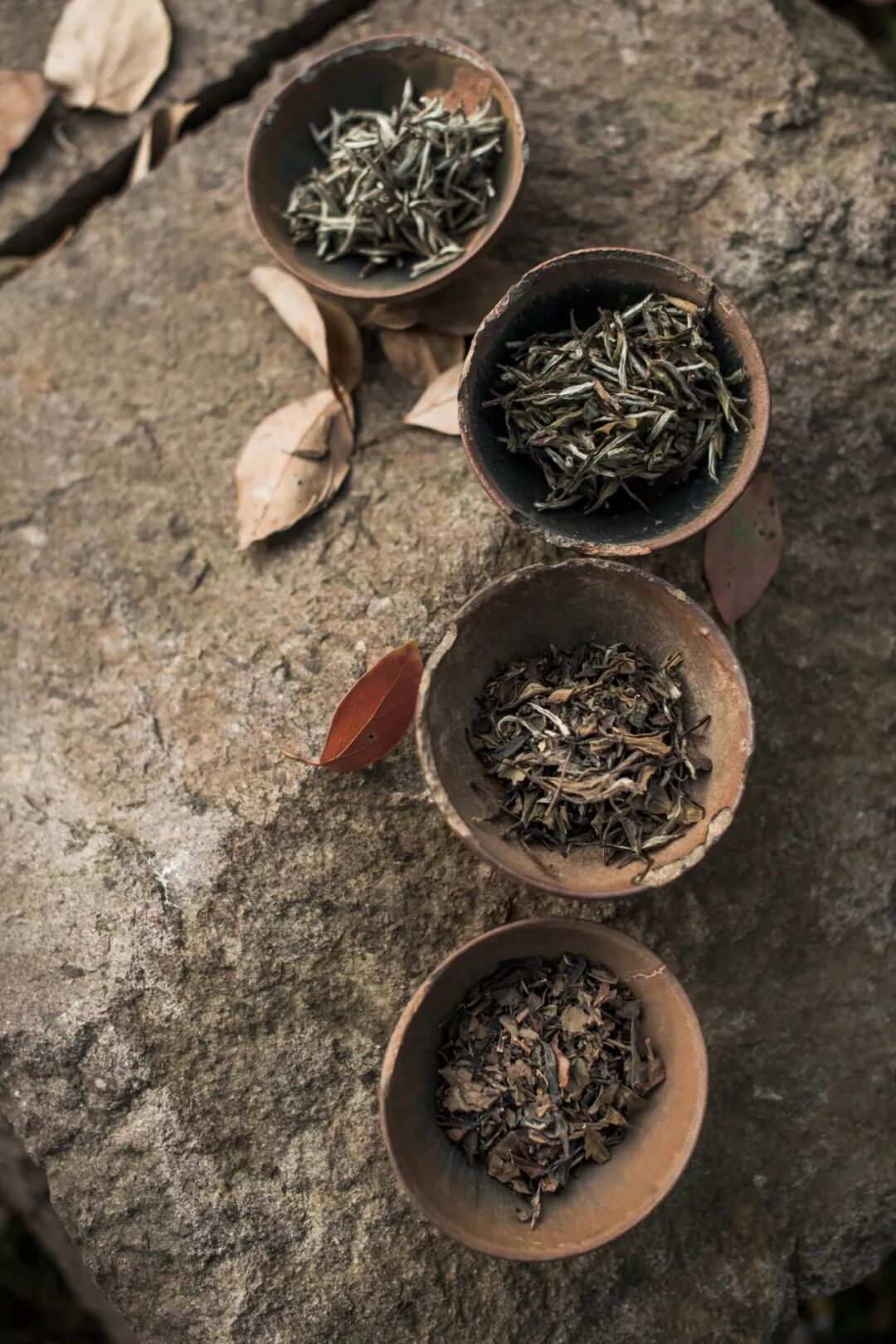 Image related to Atlas of Chinese White Tea