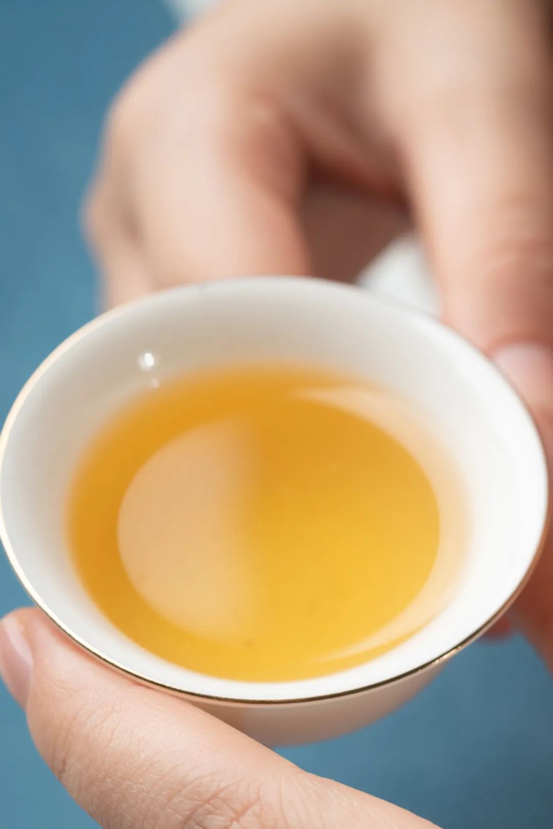 Image related to Atlas of Chinese White Tea