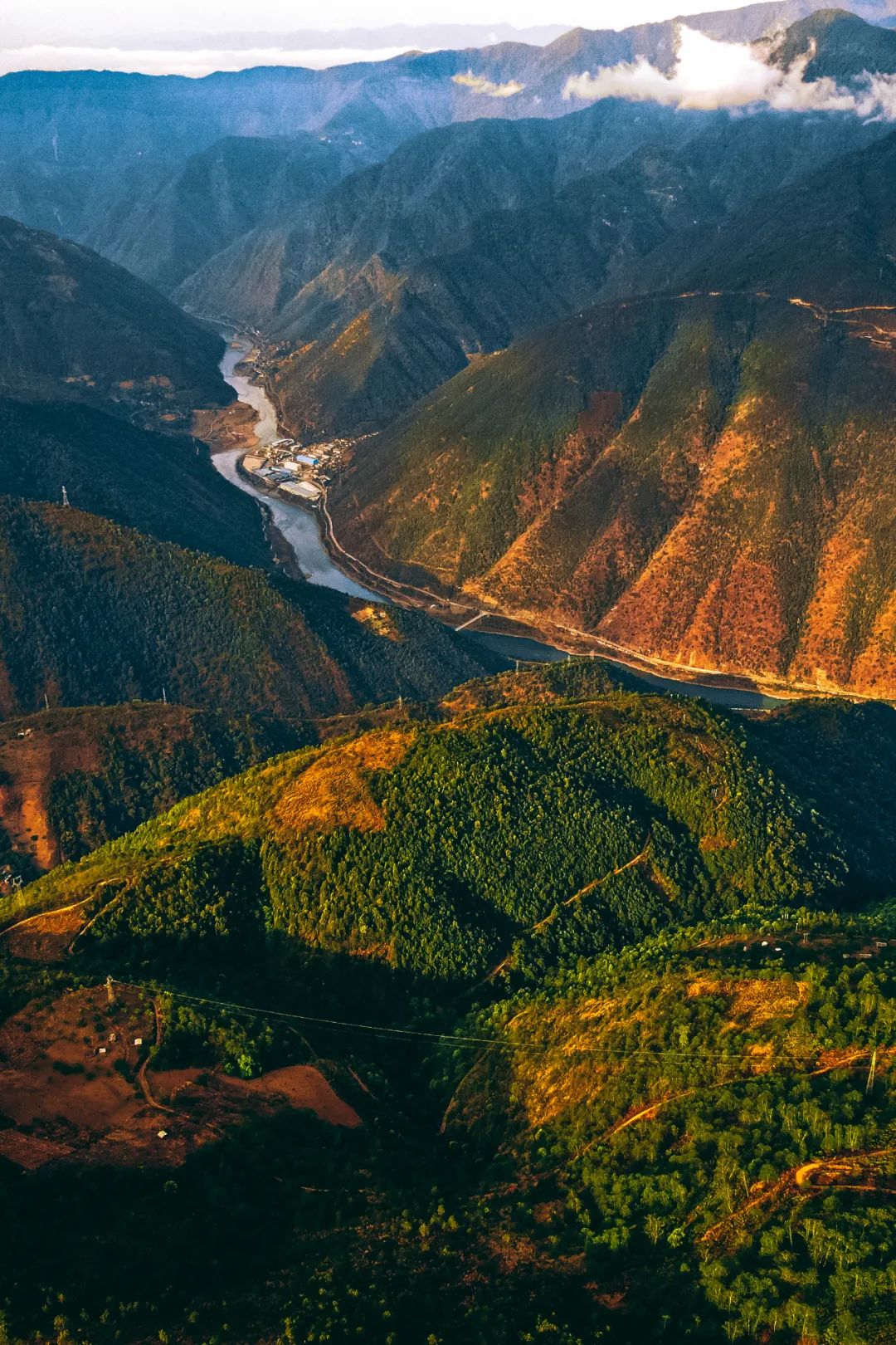 Image related to Atlas of Chinese White Tea