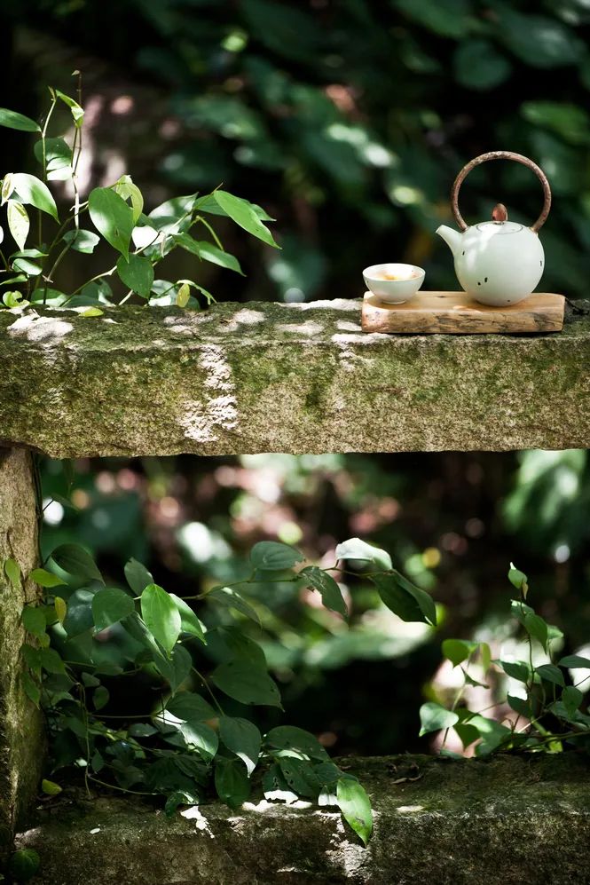 Image related to Atlas of Chinese White Tea