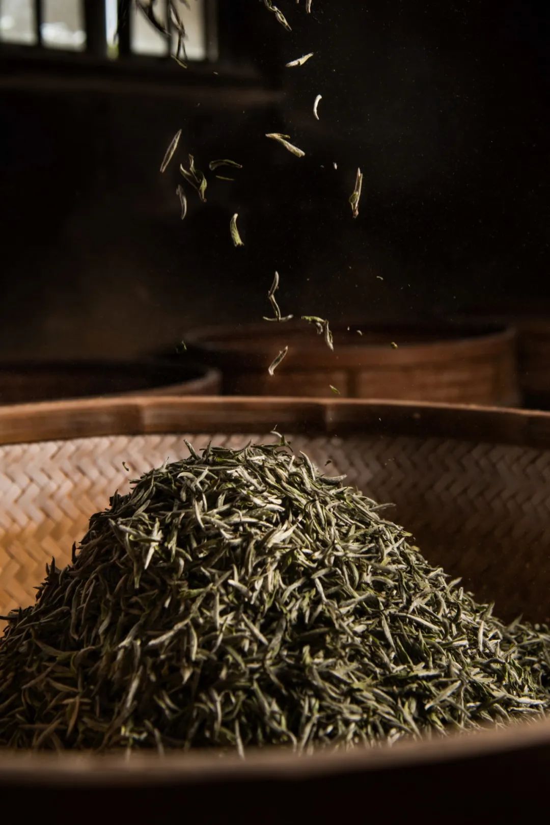 Image related to Atlas of Chinese White Tea