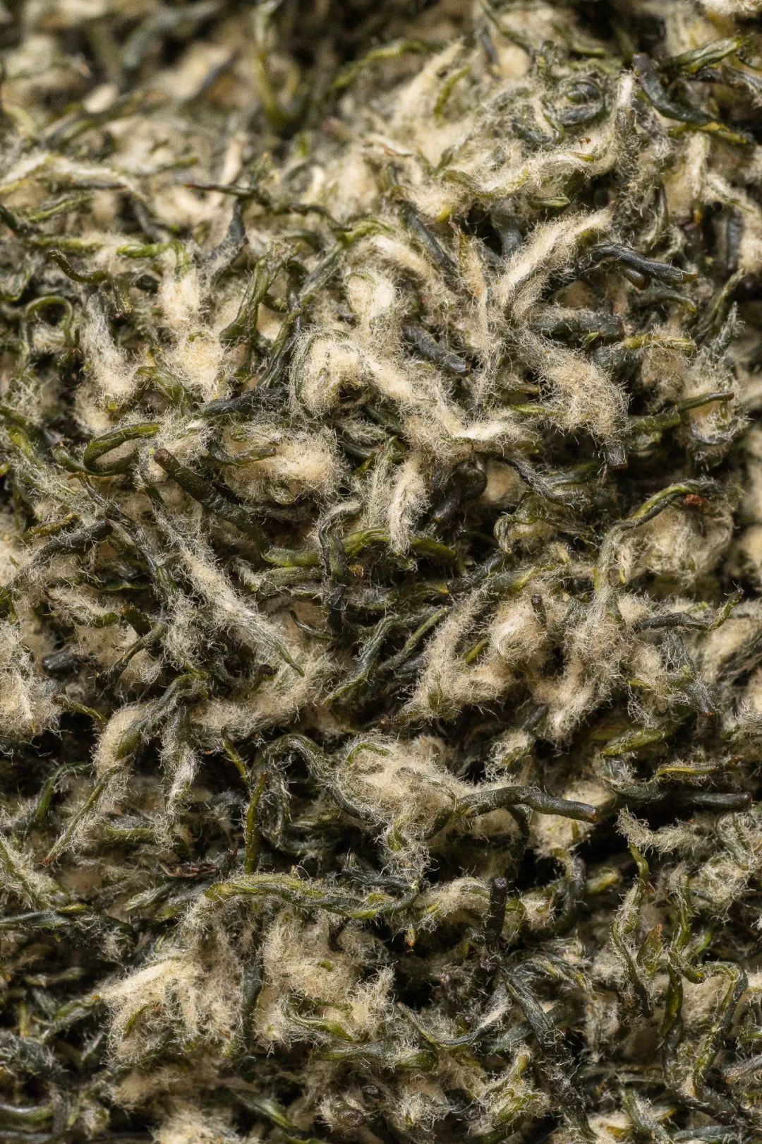 Image related to Where in China Grows the Most Fragrant Spring Tea? (Comment to Win Free Tea)