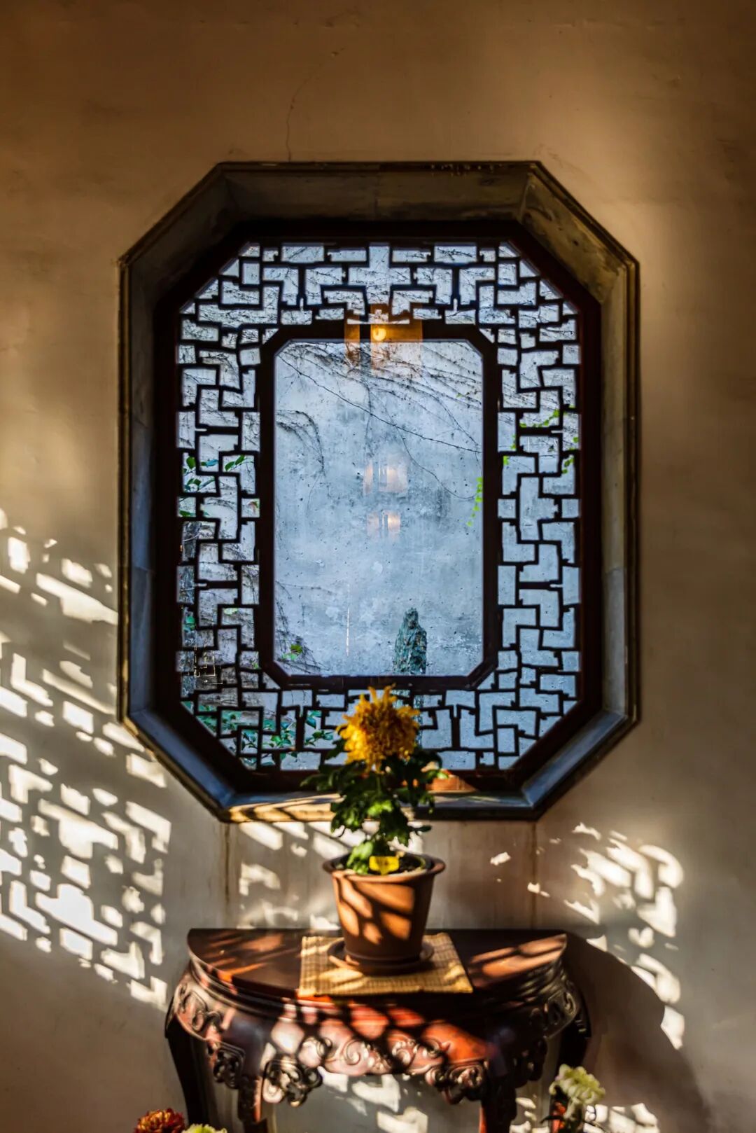 Image related to Where in China Grows the Most Fragrant Spring Tea? (Comment to Win Free Tea)