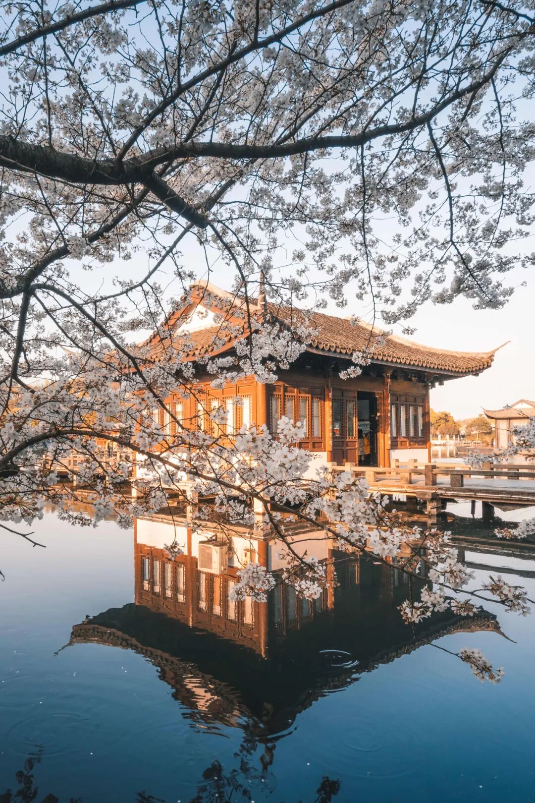 Image related to China's Early Spring Map: Discover 10,000 Ways to Embrace the Season