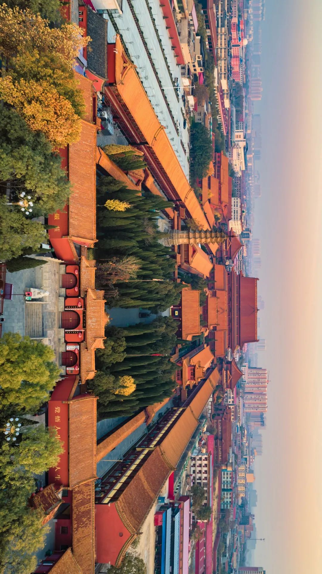 Image related to Which Temple in China Serves the Best Zen Tea?