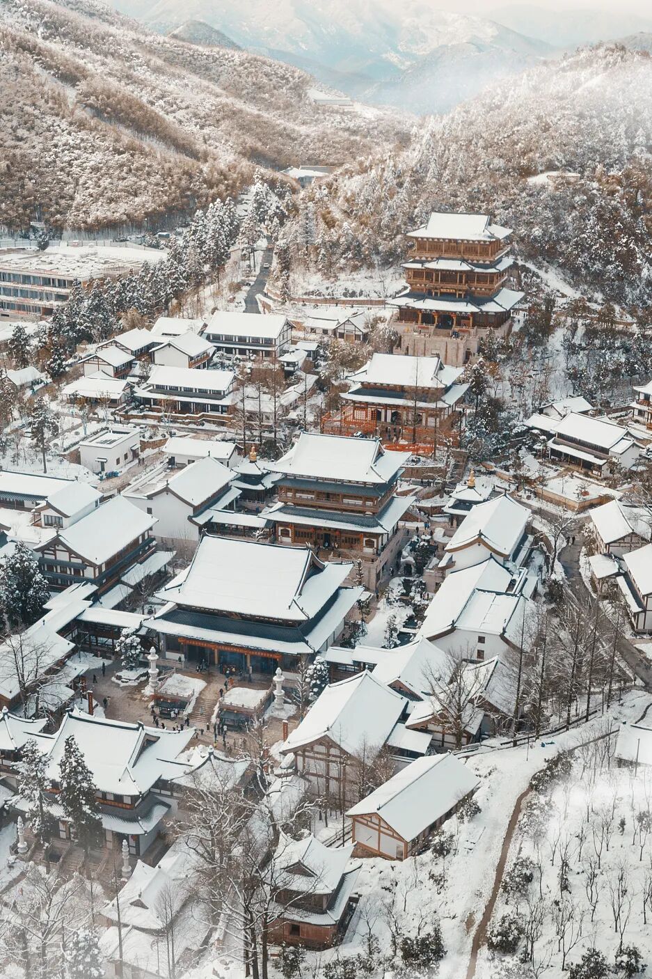 Image related to Which Temple in China Serves the Best Zen Tea?