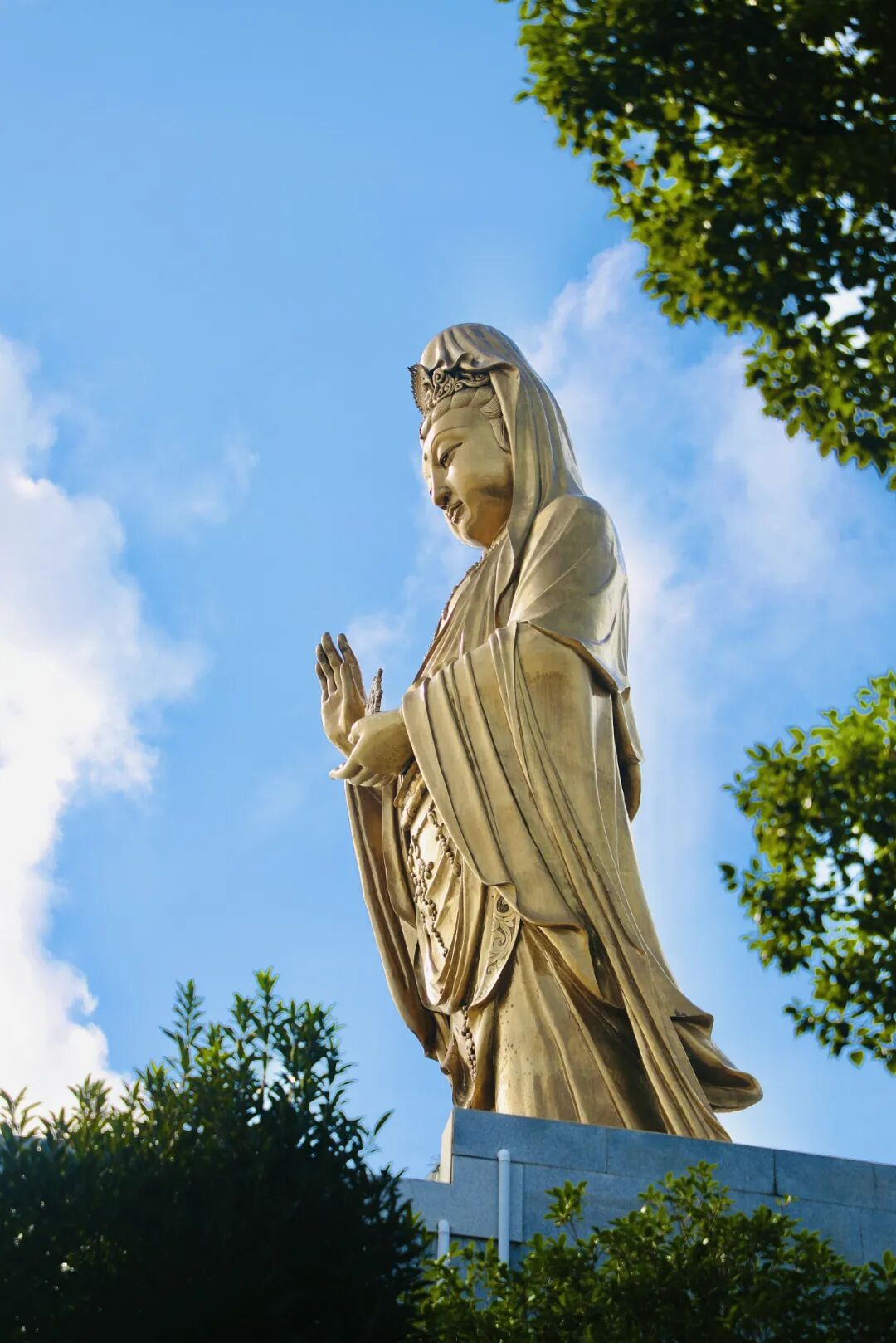 Image related to Which Temple in China Serves the Best Zen Tea?