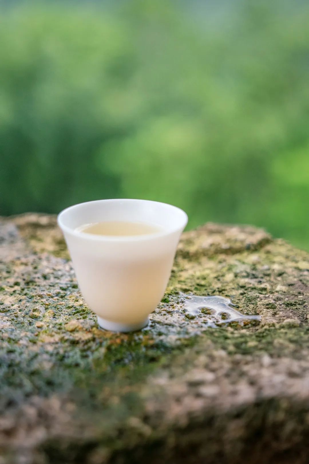 Image related to Where in China Grows the Finest Pre-Qingming Spring Tea?