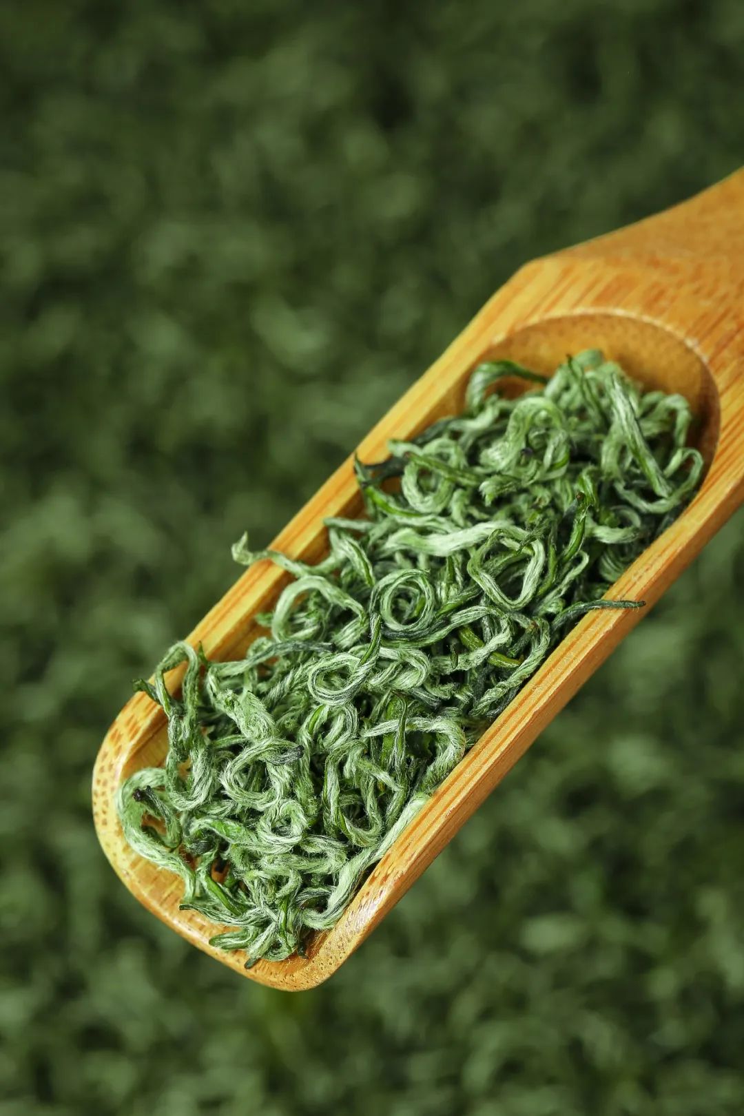Image related to Where in China Grows the Finest Pre-Qingming Spring Tea?