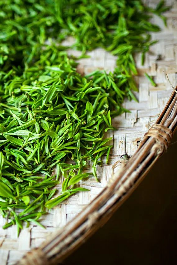 Image related to Where in China Grows the Finest Pre-Qingming Spring Tea?