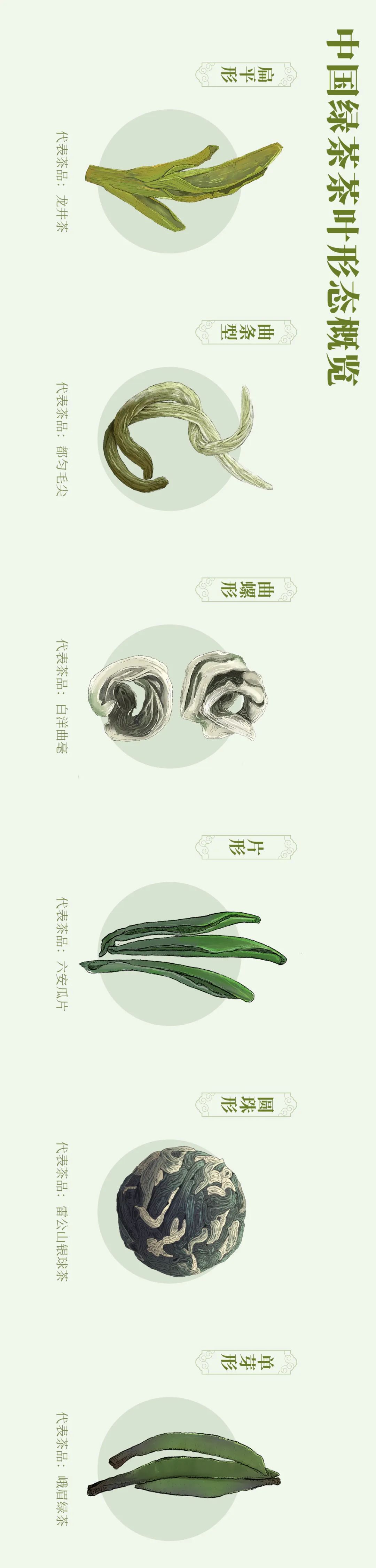 Image related to Where in China Grows the Finest Pre-Qingming Spring Tea?