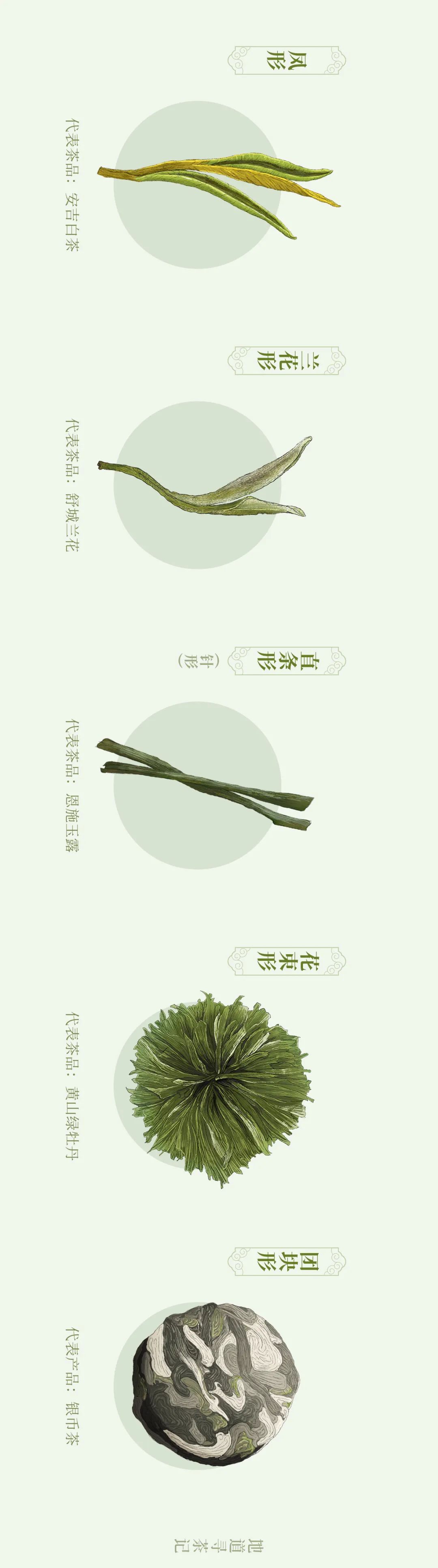 Image related to Where in China Grows the Finest Pre-Qingming Spring Tea?